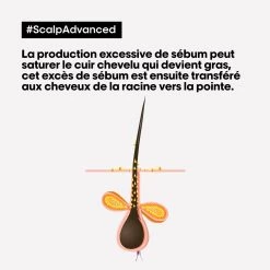 Shampooing Dermo-purifiant Anti Gras Scalp Advanced L'Oréal 1500ml -Magasin de cheveux 3474637106416 4 47452.1684847766