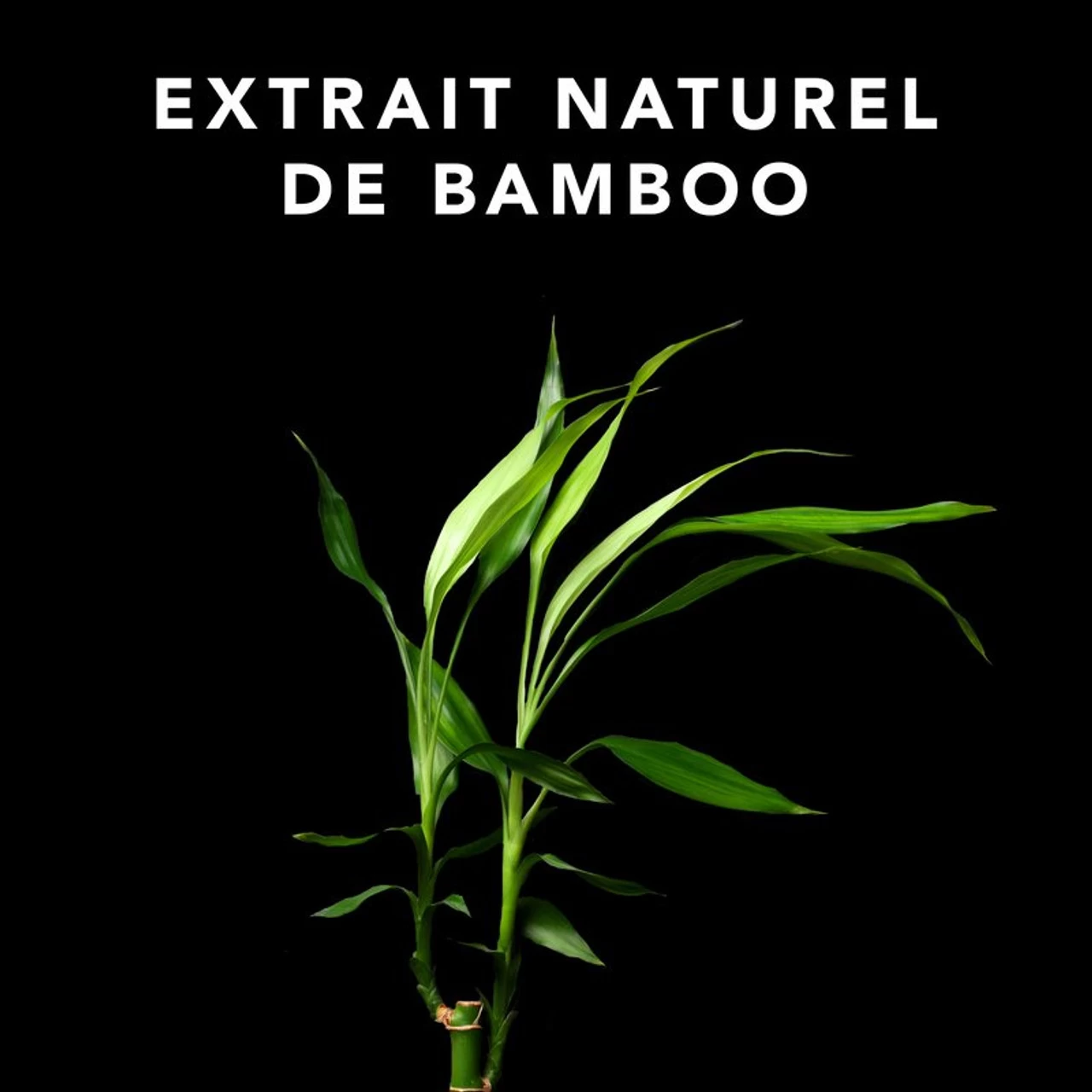 Soin Volupt Conditioner 250ml 2 Soin Volupt Conditioner 250ml – Image 2