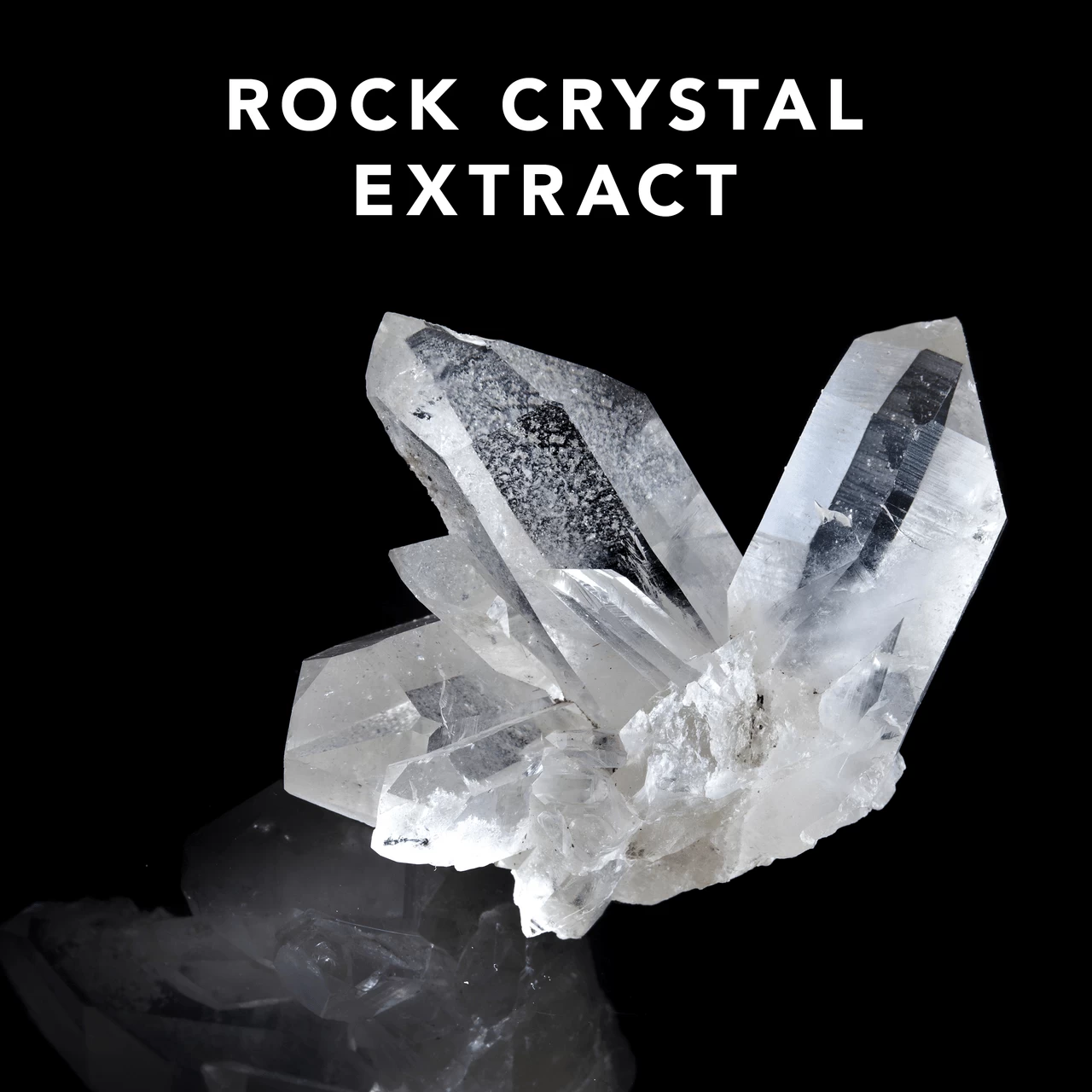 Shine Define Sebastian 200ml 4 Shine Define Sebastian 200ml – Image 4